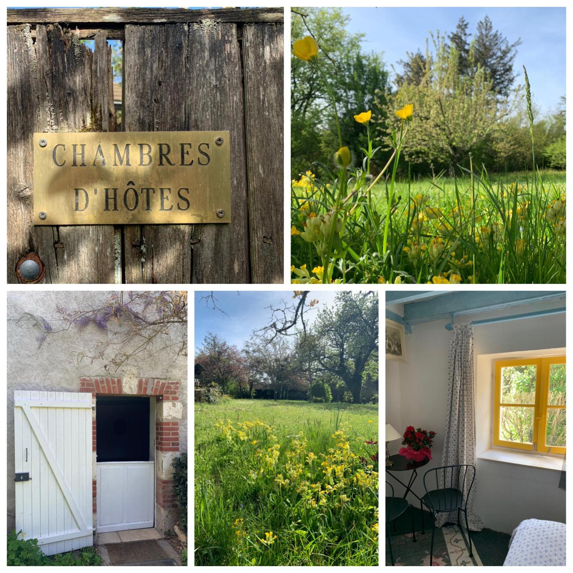 Chambres D'Hotes Les Renardieres Molineuf Exterior foto
